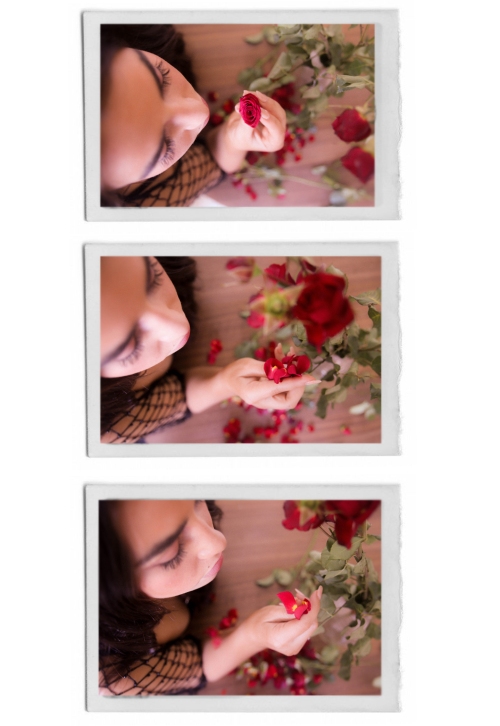 rose-collage